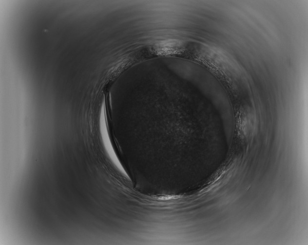 X0000096990219200802081434