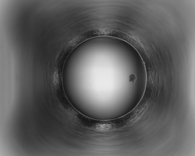 X0000096990220200802081434