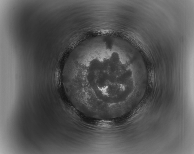 X0000096990222200802081434