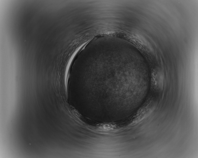 X0000096990223200802081434