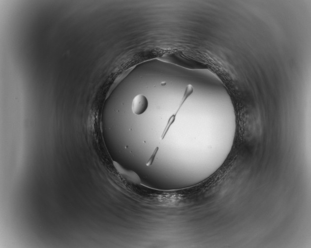 X0000096990225200802081434
