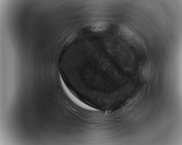 X0000096990227200802081434