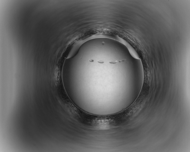 X0000096990228200802081434