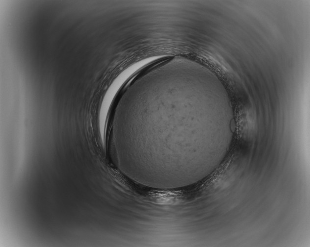X0000096990229200802081434