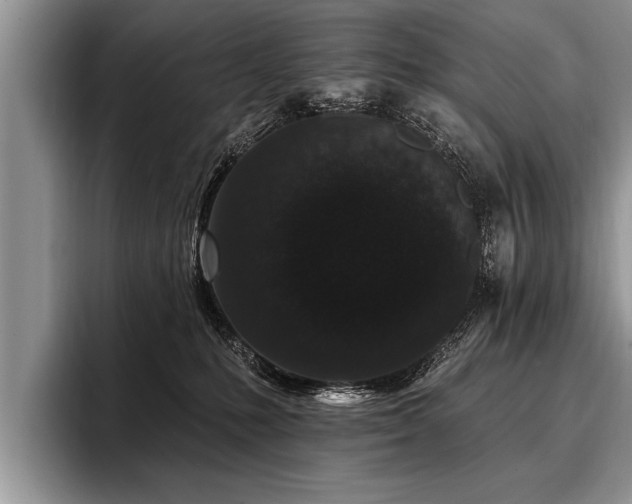 X0000096990231200802081434