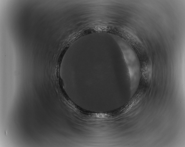 X0000096990233200802081434