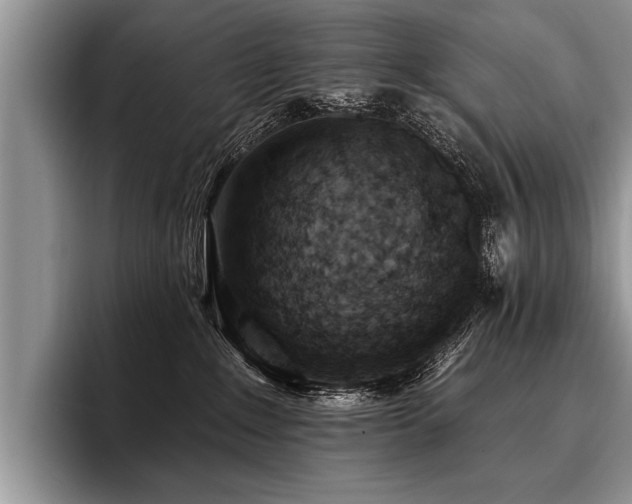 X0000096990235200802081434