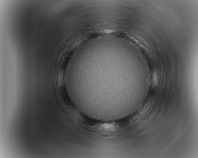 X0000096990236200802081434