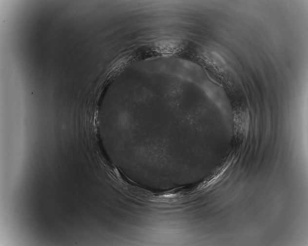 X0000096990237200802081434