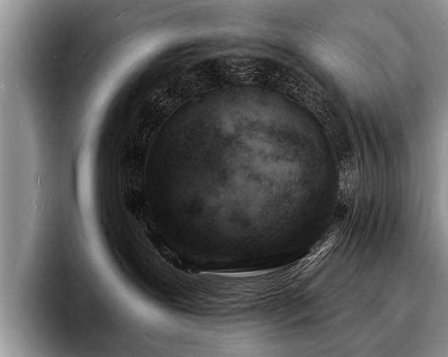 X0000096990239200802081434