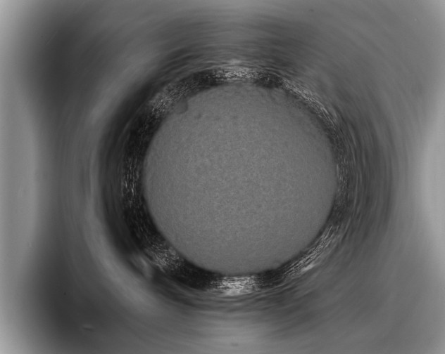 X0000096990240200802081434