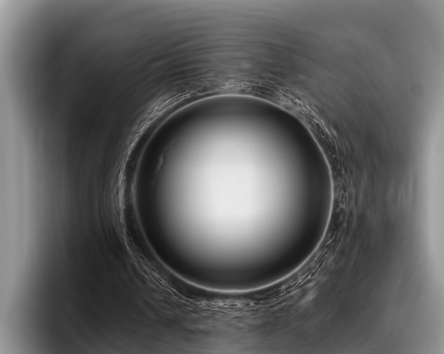 X0000096990242200802081433
