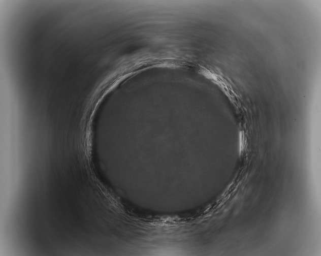 X0000096990243200802081433