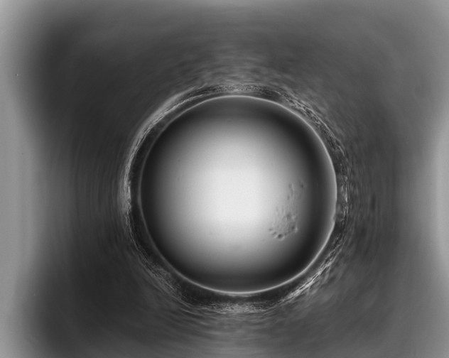 X0000096990246200802081433