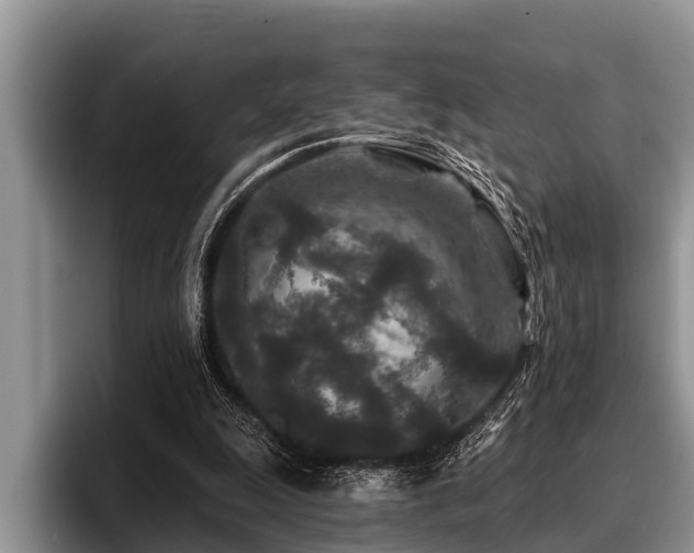 X0000096990247200802081433