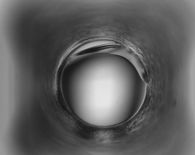 X0000096990248200802081433