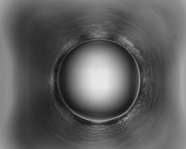X0000096990250200802081433