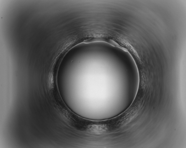 X0000096990251200802081433