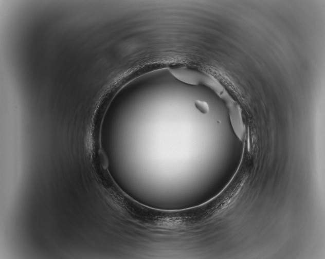 X0000096990252200802081434
