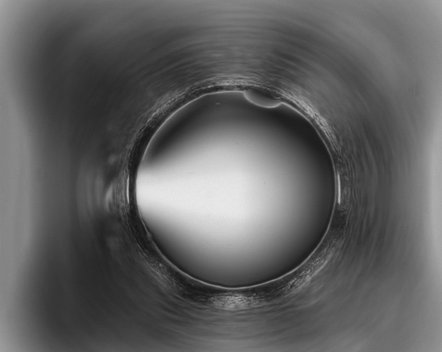 X0000096990253200802081434