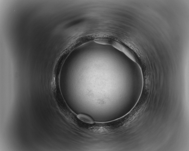 X0000096990254200802081434