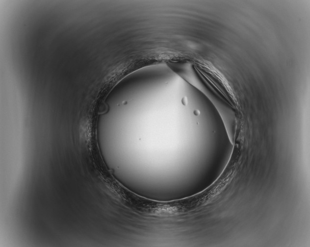 X0000096990257200802081434