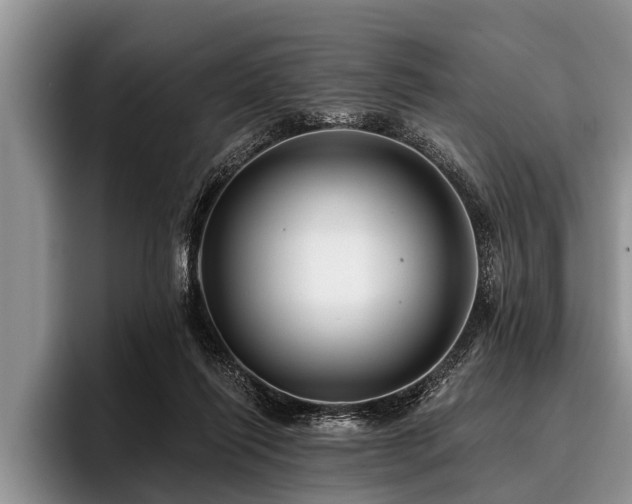 X0000096990262200802081434
