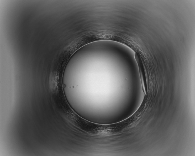 X0000096990263200802081434