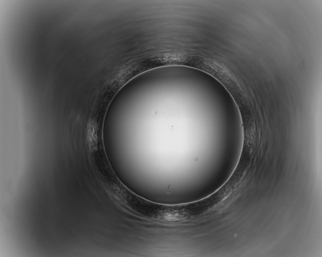 X0000096990264200802081434