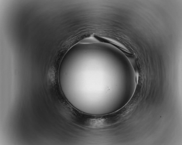 X0000096990266200802081434