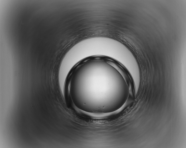 X0000096990268200802081434
