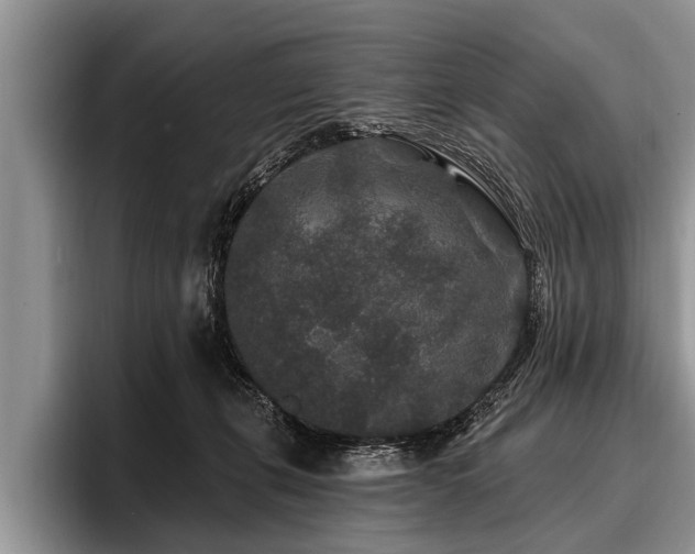 X0000096990271200802081434