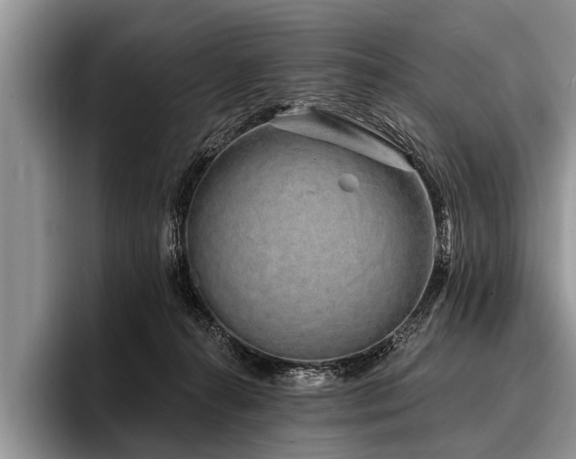 X0000096990272200802081434