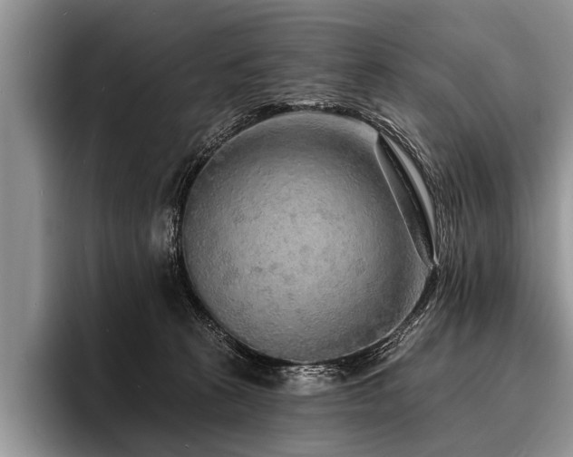 X0000096990273200802081434