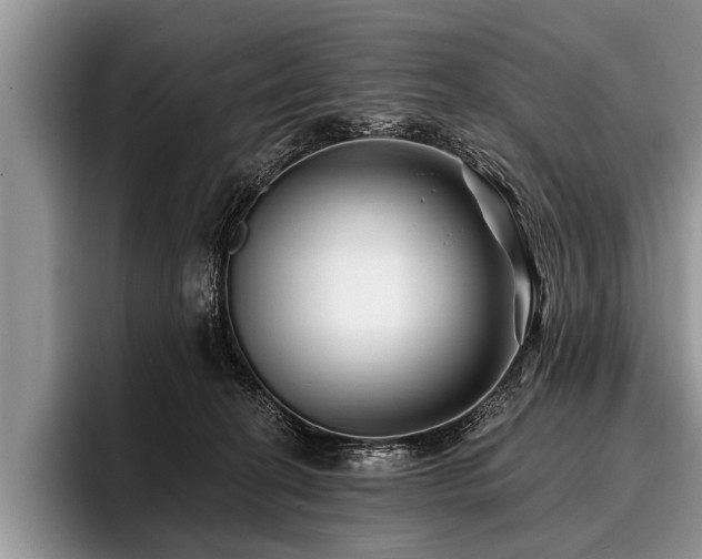 X0000096990274200802081434