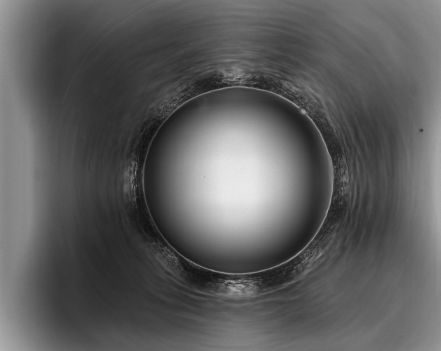 X0000096990275200802081434