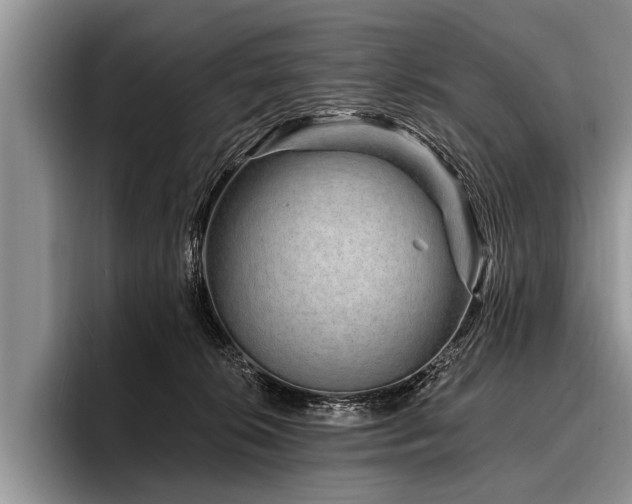 X0000096990276200802081434