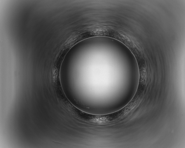 X0000096990278200802081434