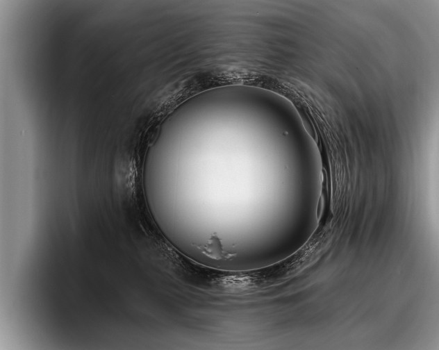 X0000096990279200802081434