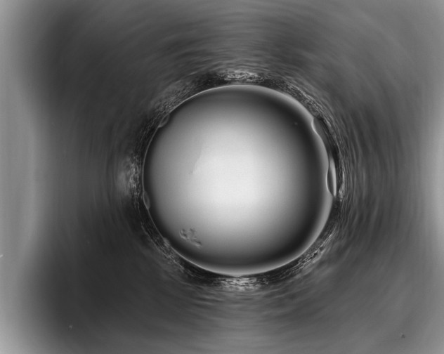 X0000096990281200802081434