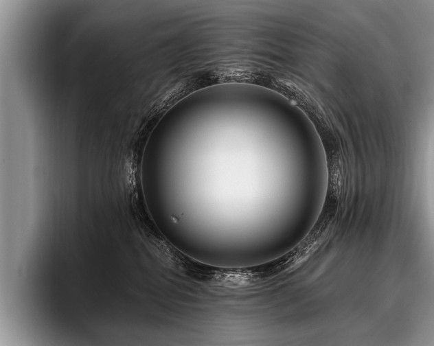 X0000096990282200802081434