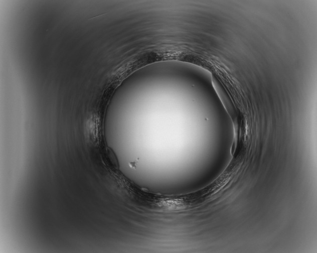 X0000096990283200802081434