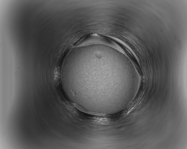 X0000096990284200802081434