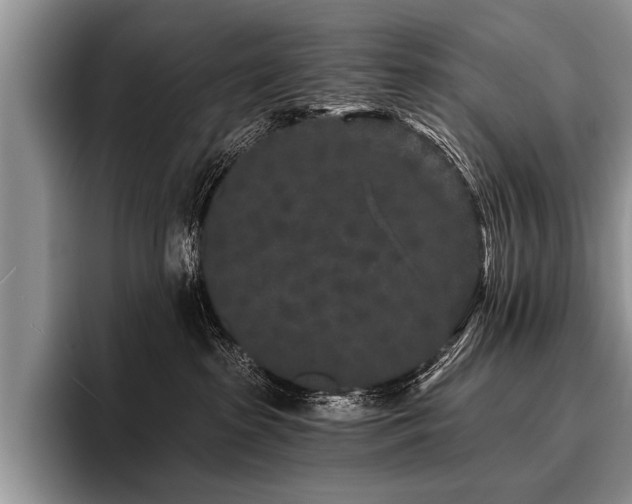 X0000096990285200802081434