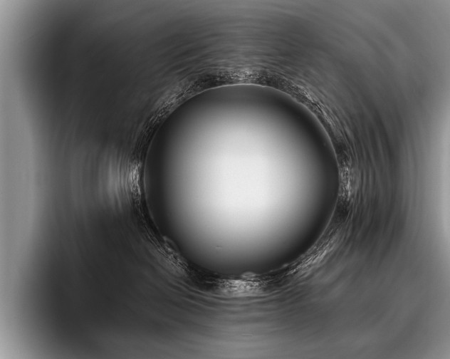 X0000096990286200802081434
