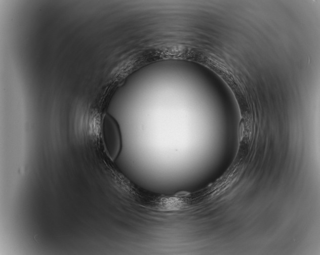 X0000096990287200802081434