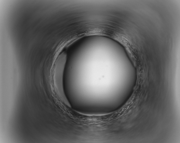 X0000096990289200802081433
