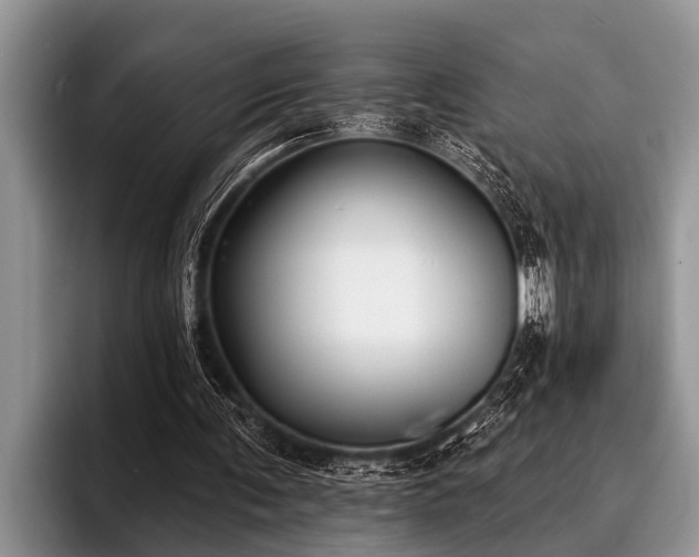 X0000096990291200802081433