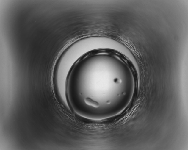 X0000096990292200802081433