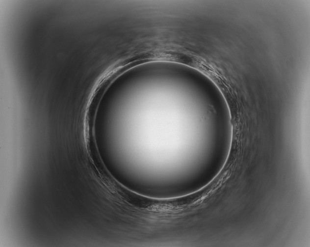 X0000096990294200802081433